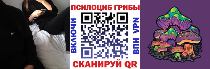 хочу Медвежьегорск Галлюциногенные грибы GOLDEN TEACHER